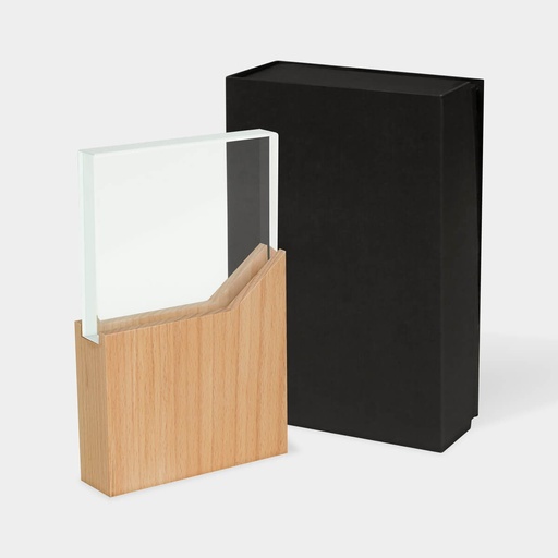 [RMT 001 BE] RECONOCIMIENTO LYNOR