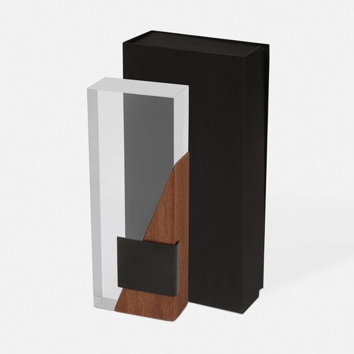 [RMT 002 C] RECONOCIMIENTO AURIX